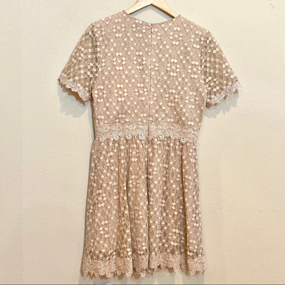 J.O.A. Lace Short Sleeve Blush Mini Dress - Picture 7 of 14